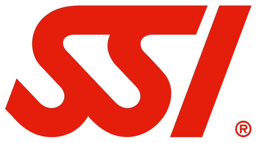 SSI Logo